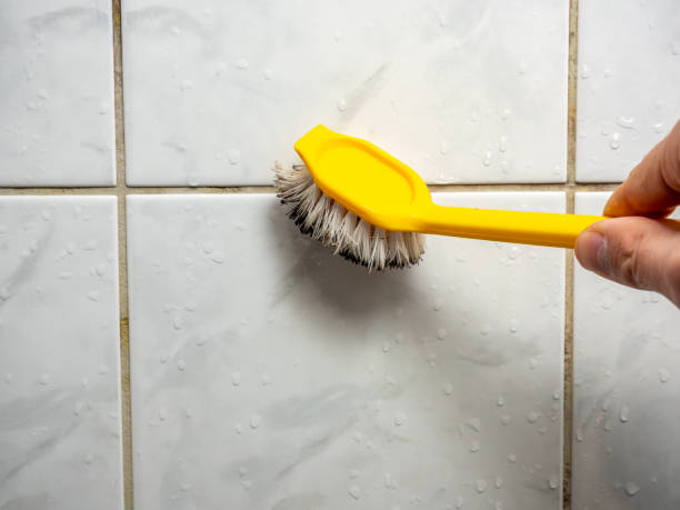 Best Local Mold Removal Service  in Temple, PA