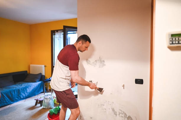 Best Fast Mold Removal  in Temple, PA